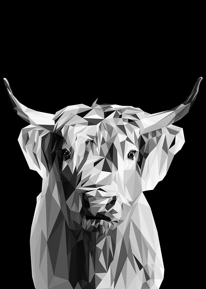Buffalo