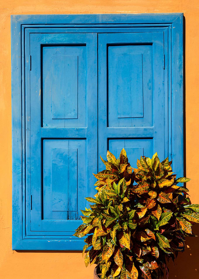 Blue Shutters