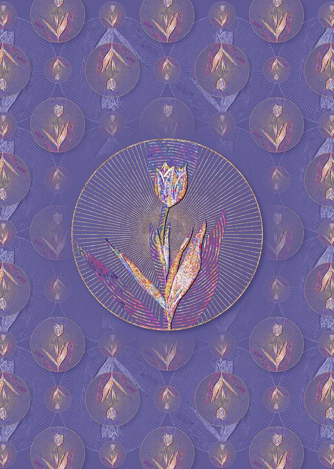 Tulip Pattern