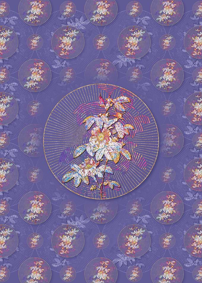 Single May Rose Pattern
