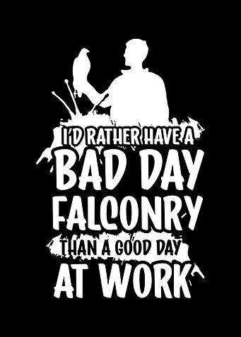 Falconer Falcon