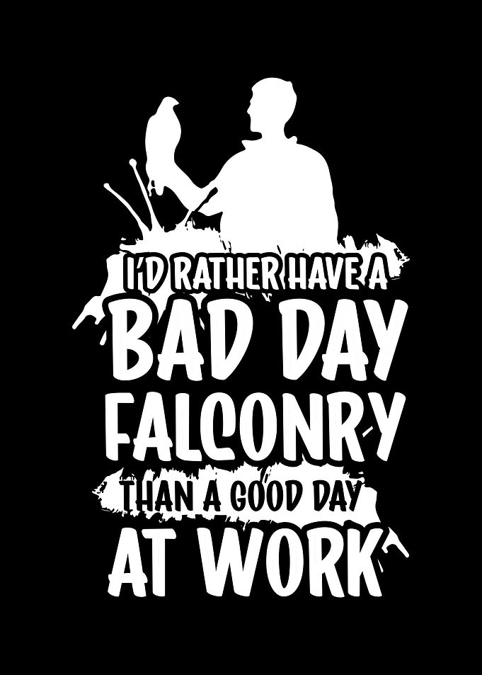 Falconer Falcon