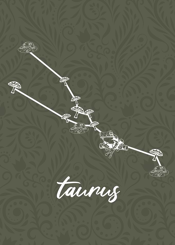 Zodiac Taurus Sign