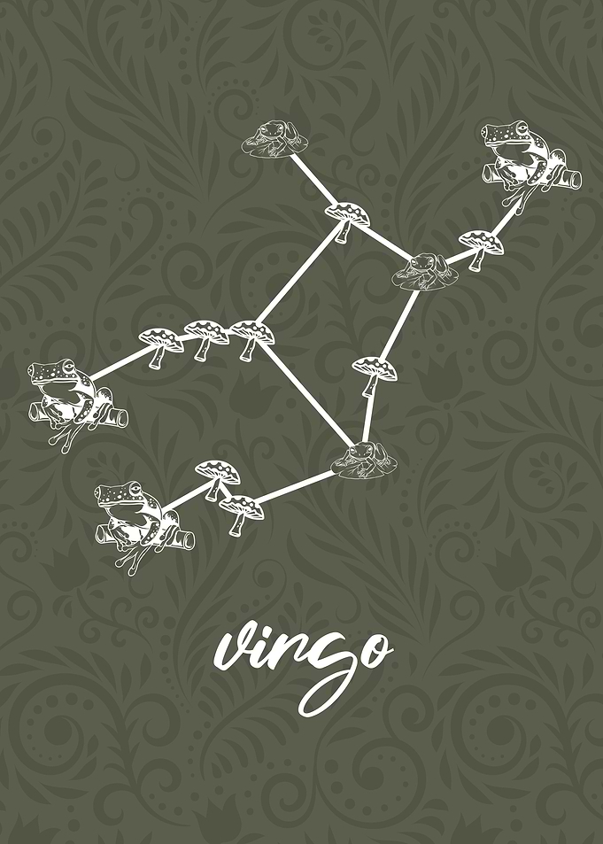 Zodiac Virgo Sign