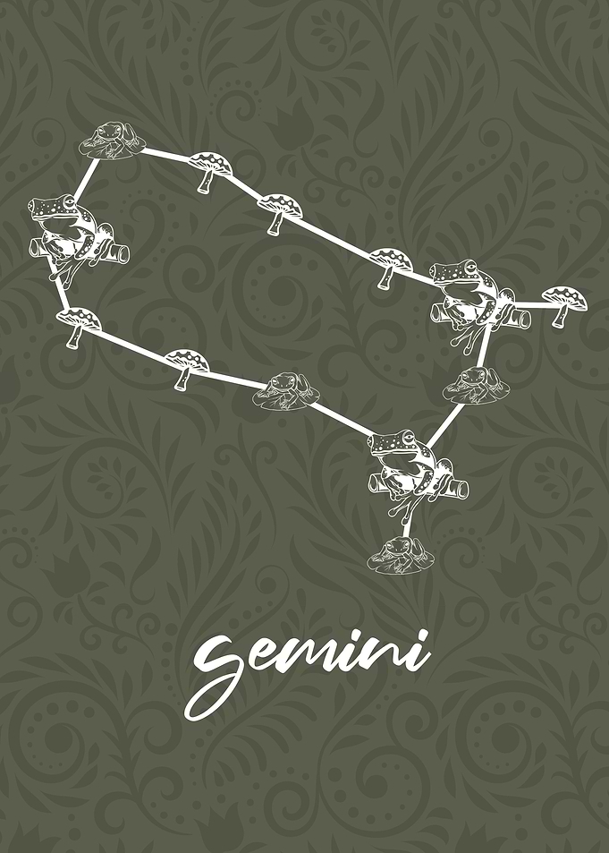 Zodiac Gemini Sign