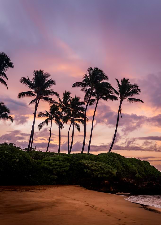 Beach at Dawn