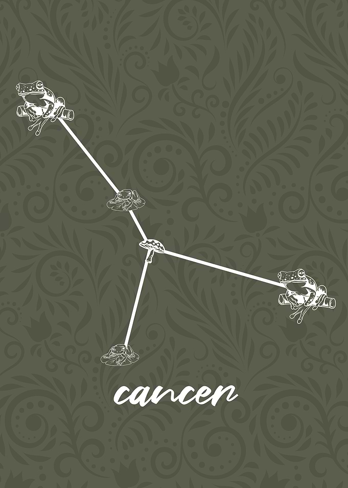 Zodiac Cancer Sign