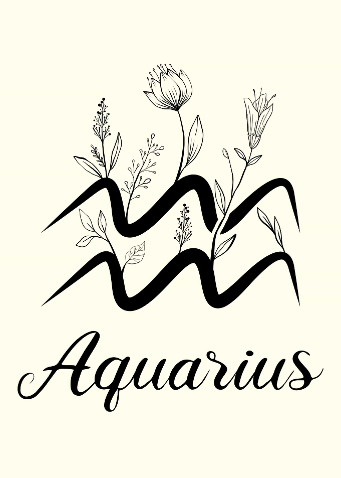Zodiac Aquarius Sign