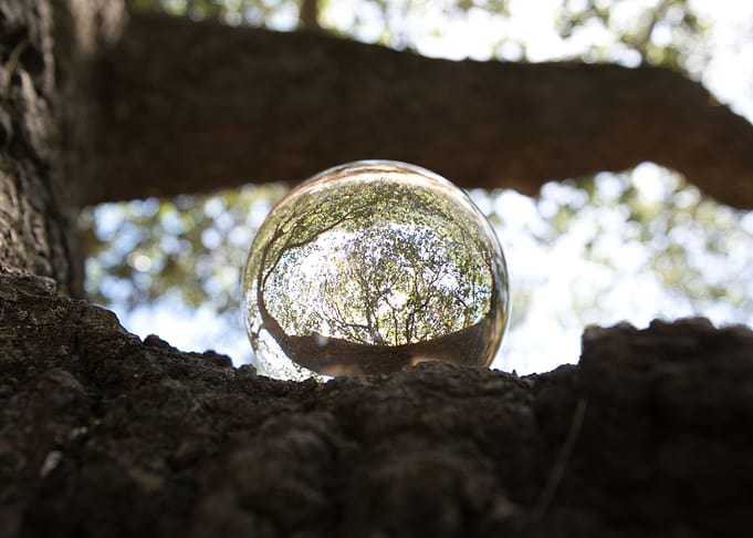 Crystal Ball