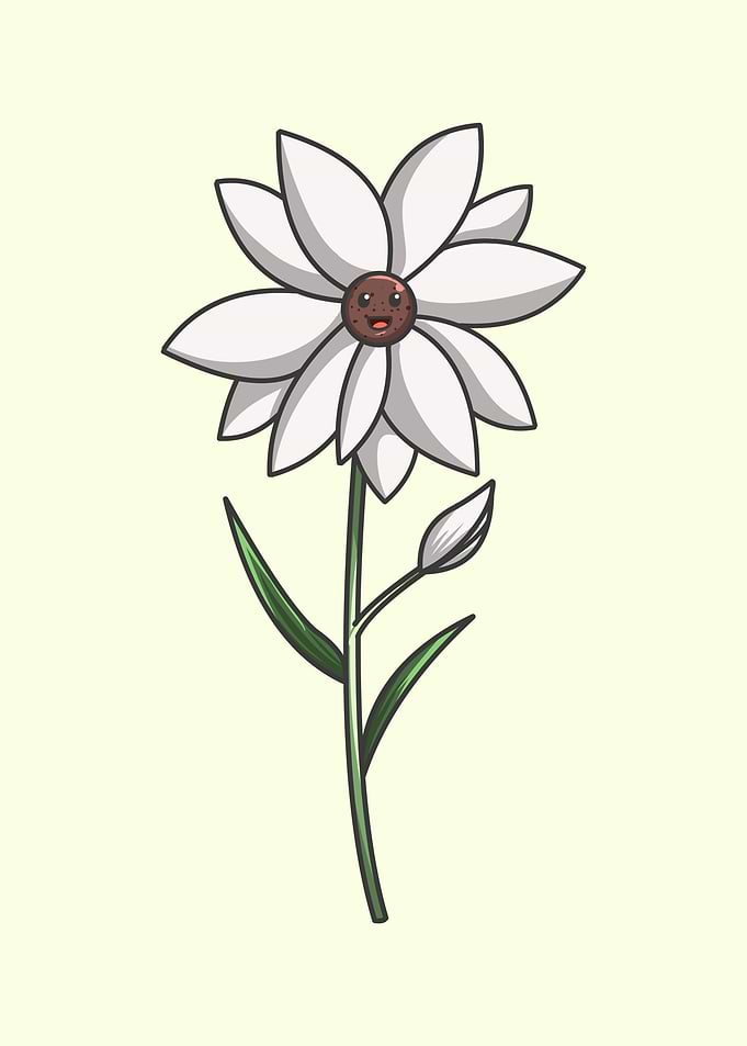 Geranium Kawaii