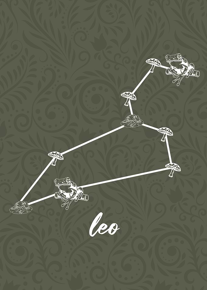 Zodiac Leo Sign