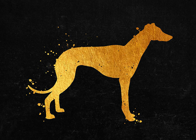 Greyhound