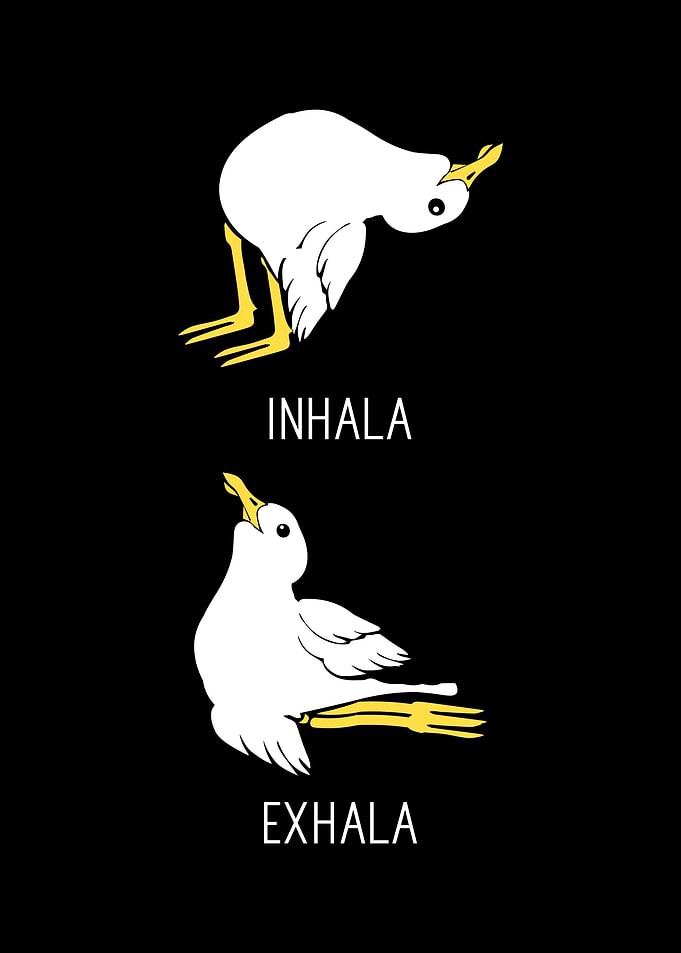 Seagull Yoga Spain