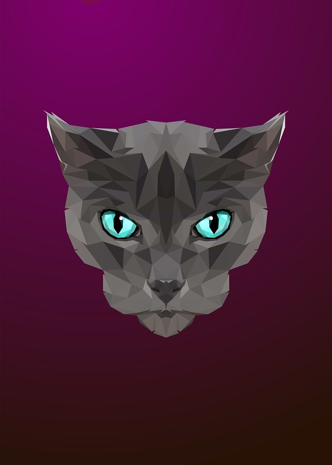 Cat Low poly Portrait