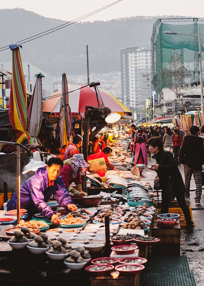 Busan Fish Market