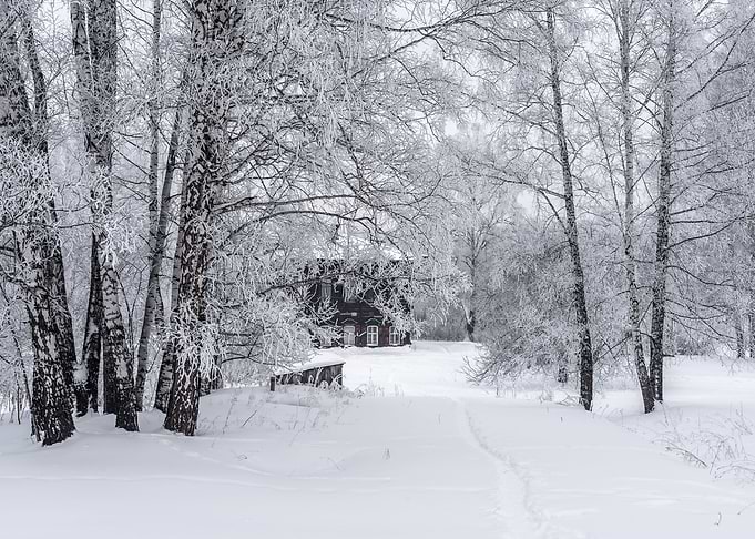 Winter snowy landscape