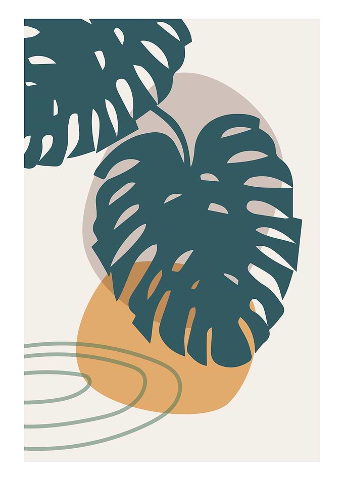 Nature Tropical leaves