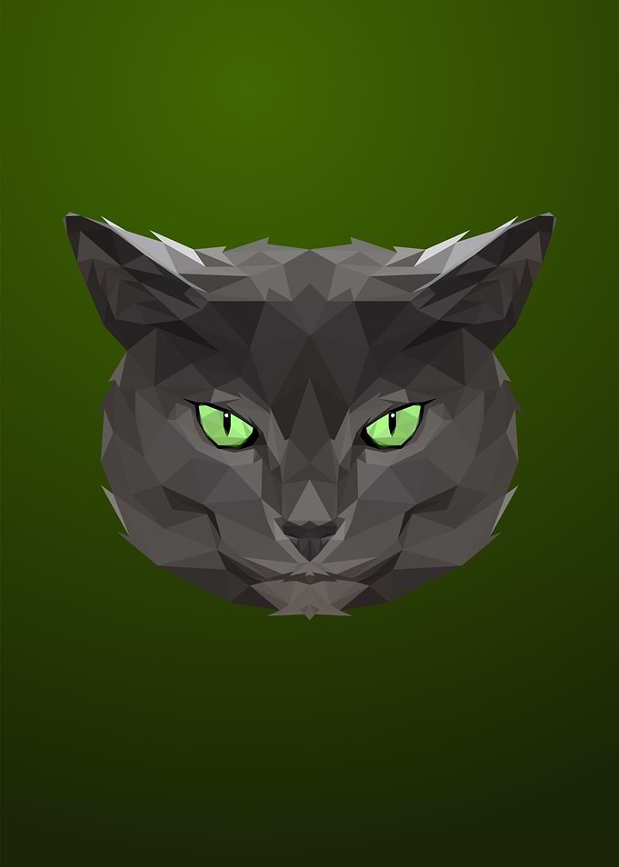 Cat Low poly Portrait