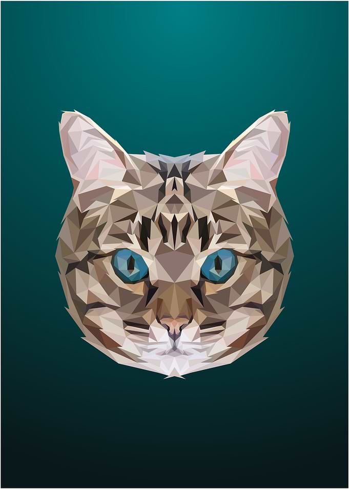 Cat Low poly Portrait