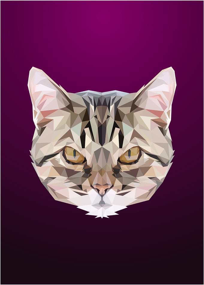 Cat Low poly Portrait