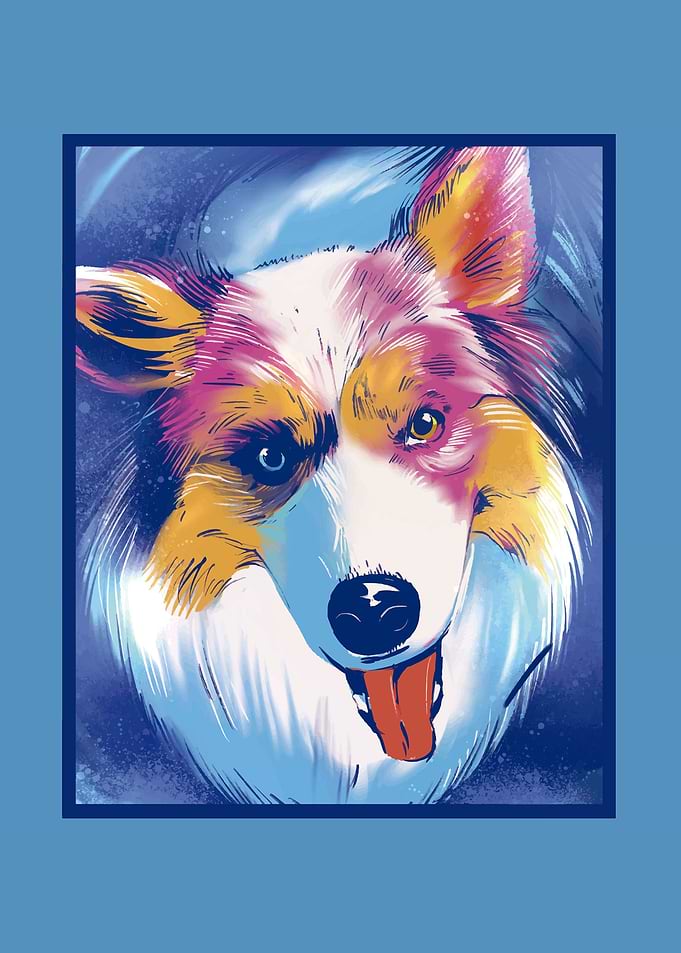 Australian Shepherd