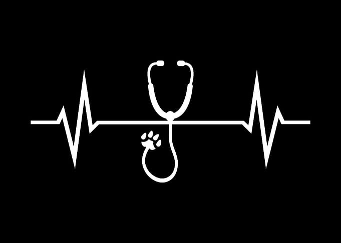 Vet Veterinarian Heartbeat
