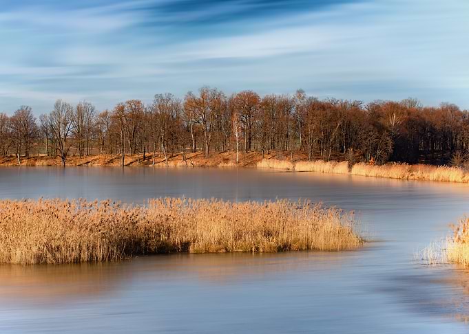 Autumn trees, lake, Poland