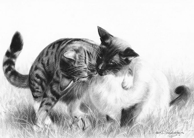 Hug