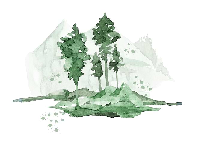 Foggy Forest Series 1