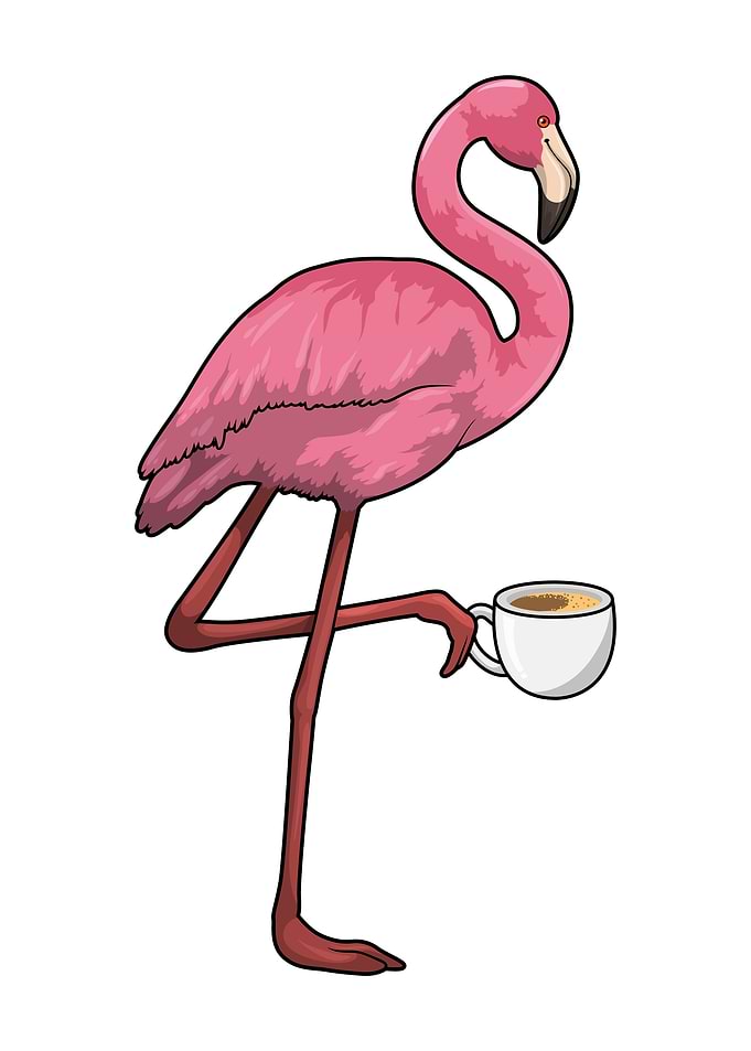 Flamingo Cup of Coffee