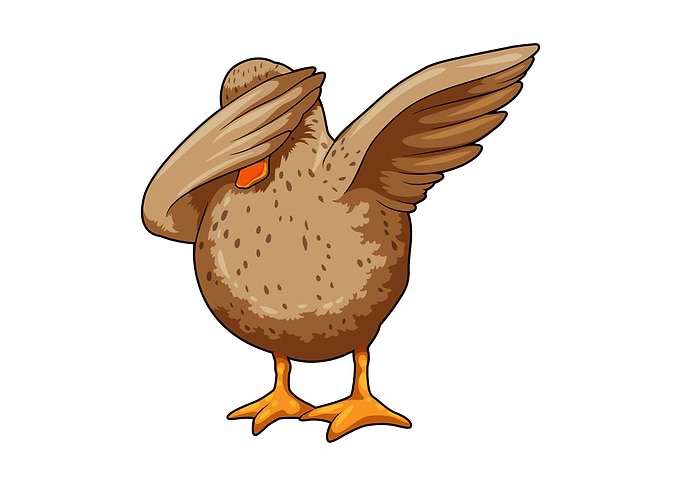 Duck Hip Hop Dance Dab