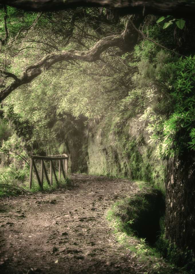 Portugal island, landscape