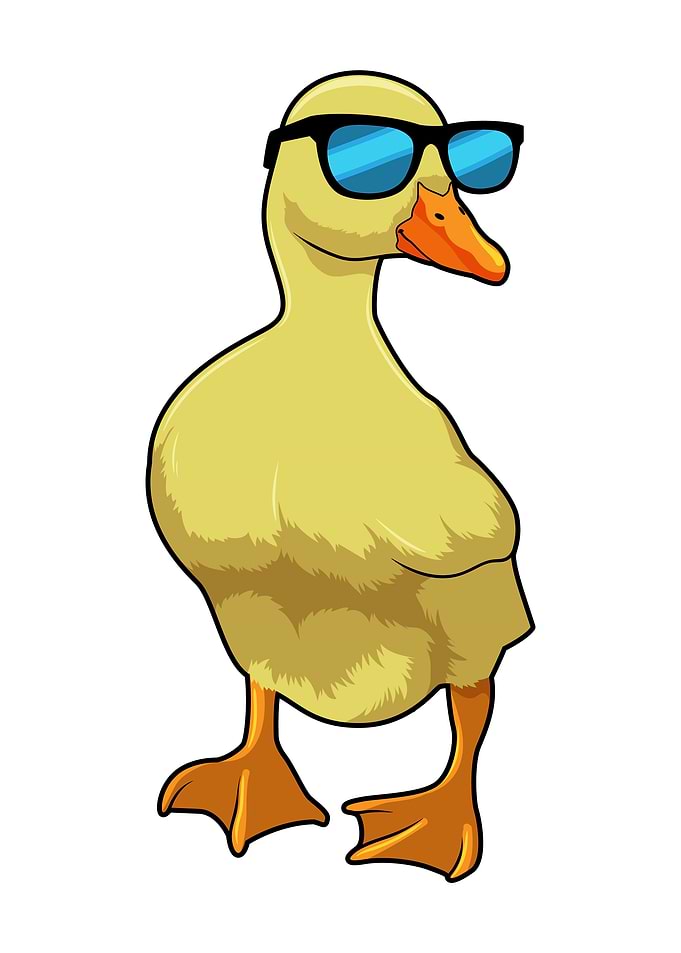 Duck Sunglasses