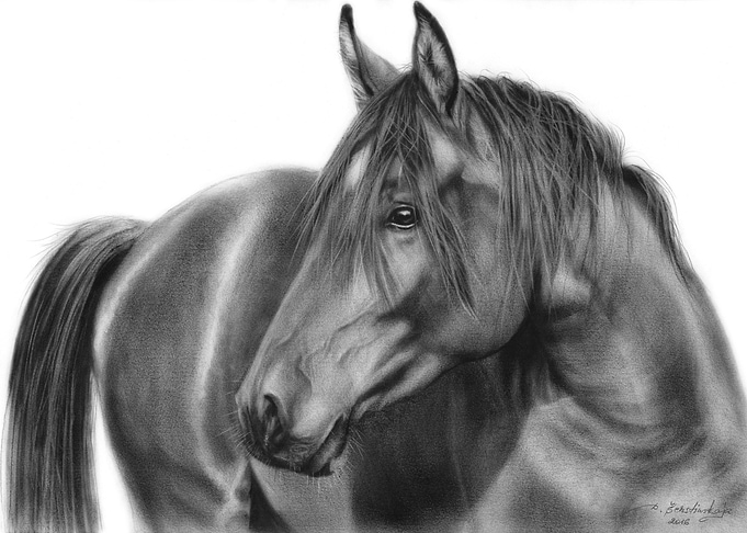 Horse painting