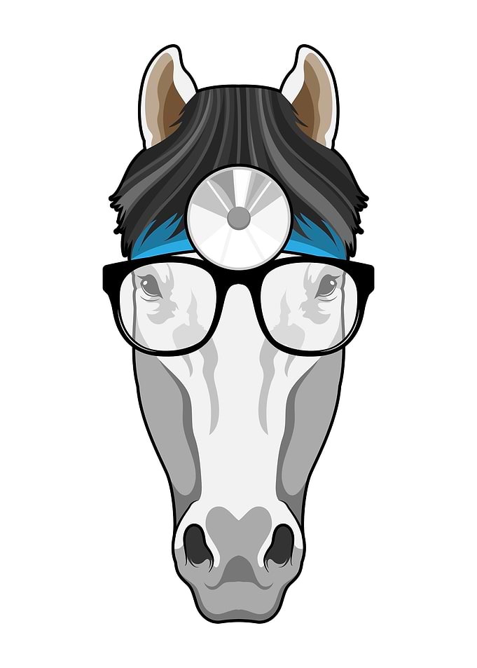 Horse Doctor Glasses