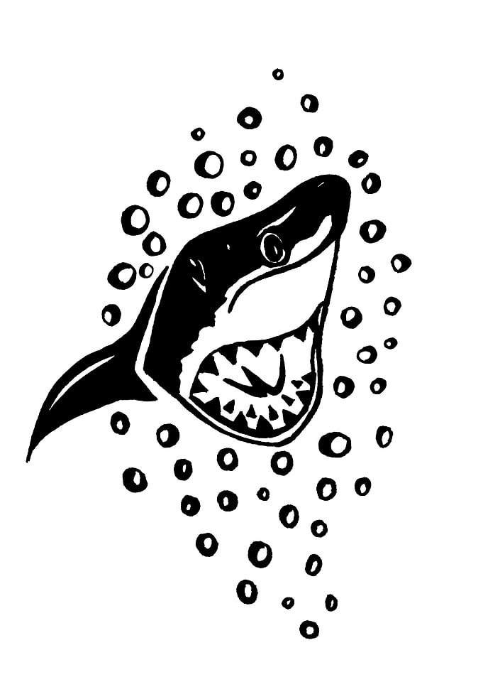 Black Shark