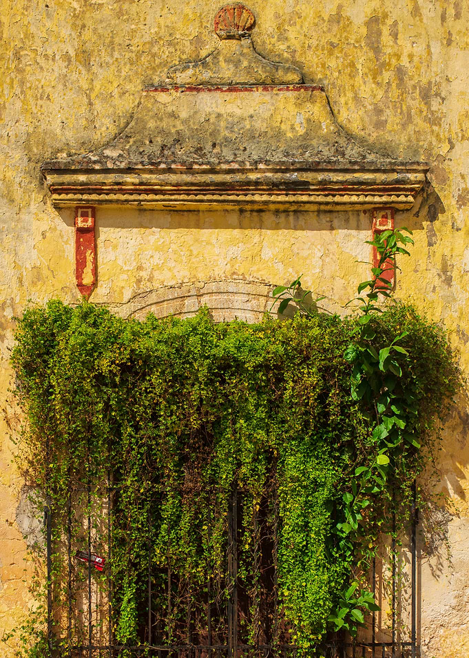 Abandoned window