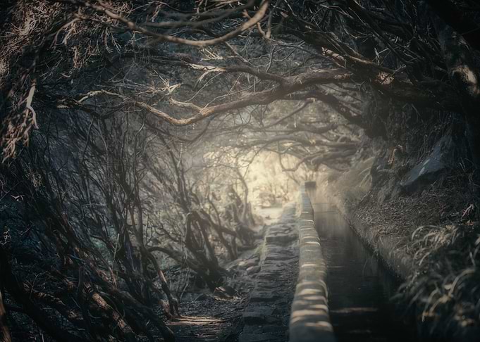 Madeira landscape,Portugal