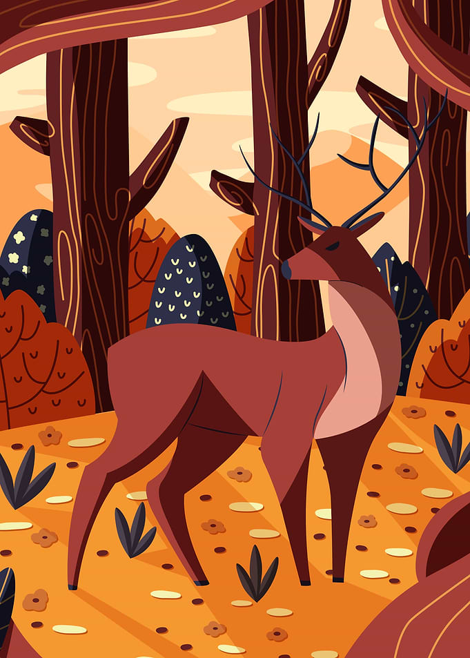 Deer Jungle Animal life