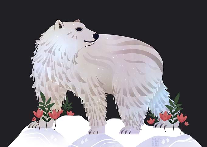 Polar Bear