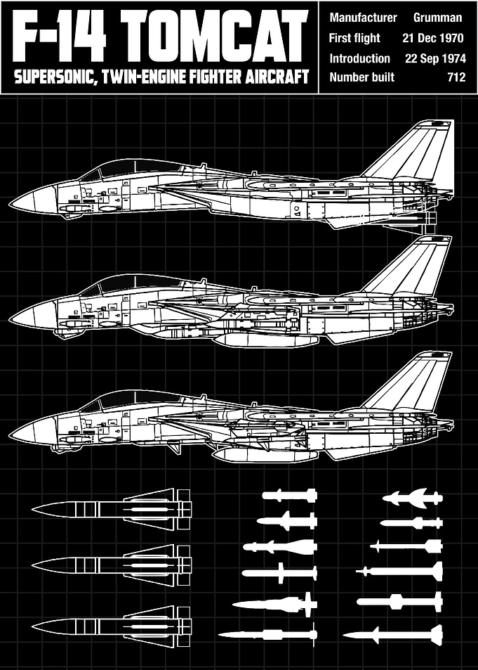 f14 tomcat