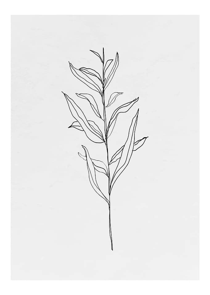 Minimalist Leaf
