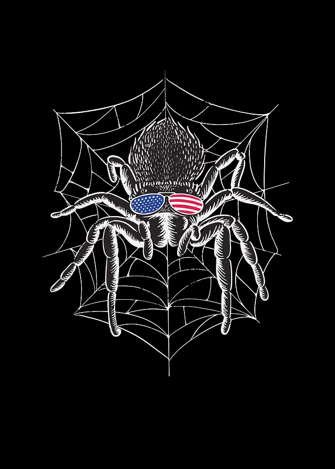 AMERICAN TARANTULA SPIDER