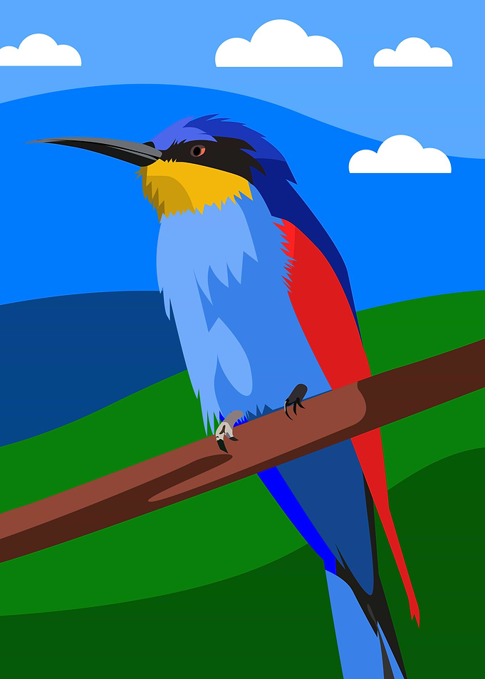 Cute beautiful bird
