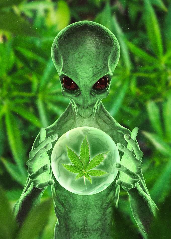 Weedy Alien
