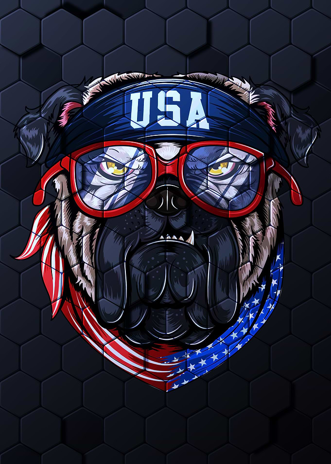 Bull Dog Usa America Flag