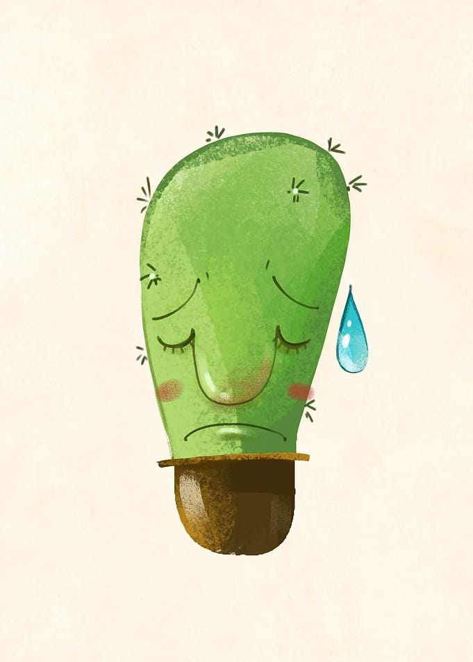 Oh Cactuses