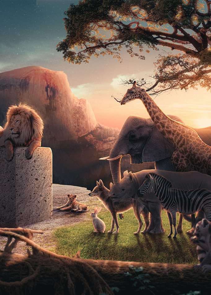 Jungle Meeting