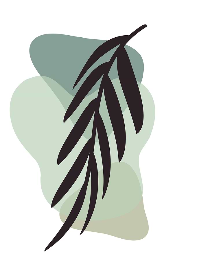 Palm leaf abstract shapes