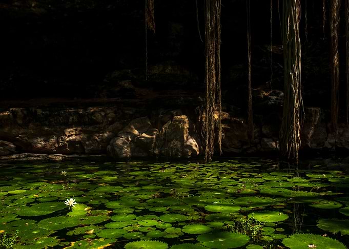 Cenote